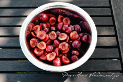 IMG_9705_canette_cerises_1024