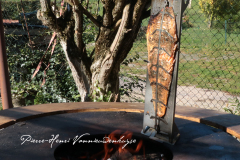 Filet de saumon cuisson à la flamme