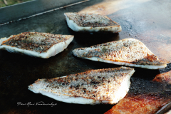 Cuisson maigre plancha