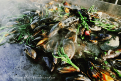 IMG_5488_moules_a_la_vendeenne_1064