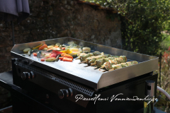 La plancha au gaz Rainbow au chrome dur