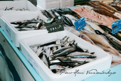 Sardines au marché de St Gilles (2022)