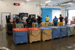 Vente de sardines à la criée de St Gilles Croix de Vie