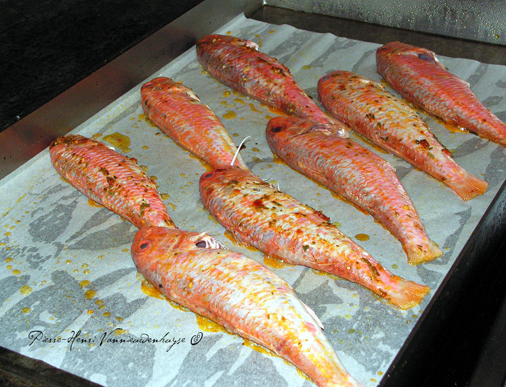 Marinade Pour Filet De Maquereau à La Plancha Comment cuisiner le poisson à la plancha - Recettes et Cuisine à la plancha