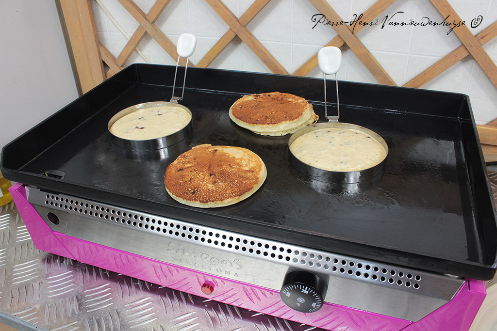 Que choisir? une plancha au gaz ou une plancha électrique Recettes et — free download