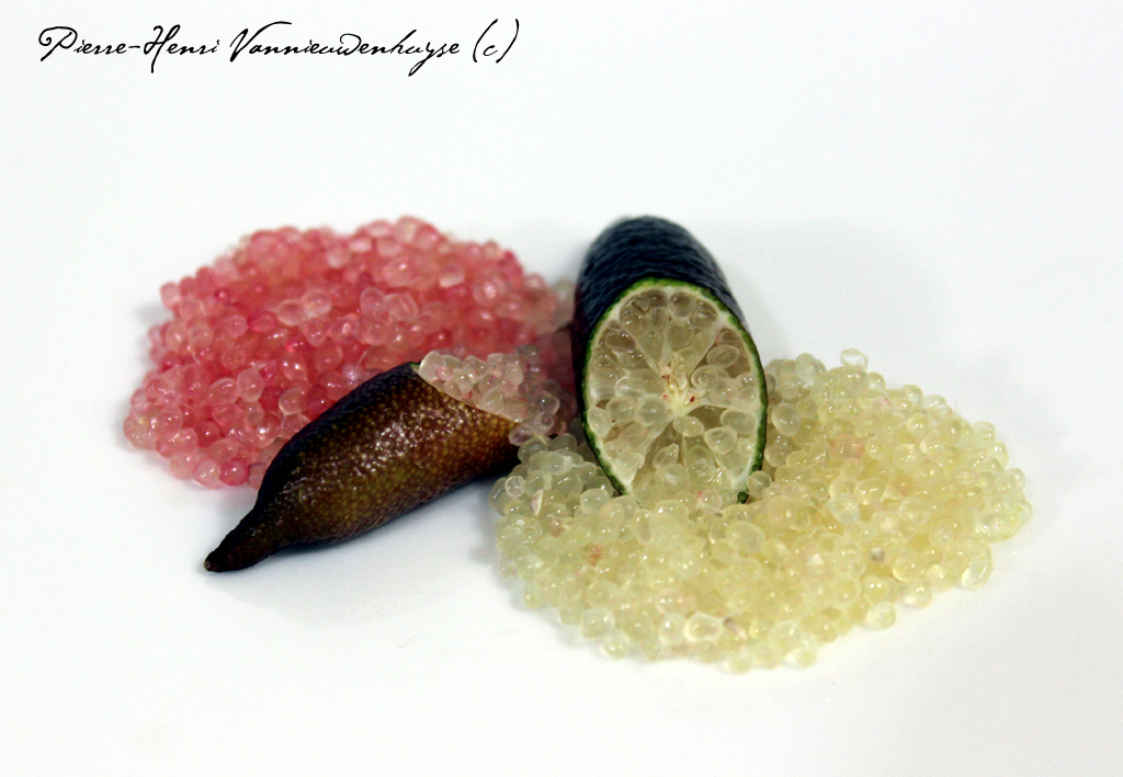 Citron Caviar - Recettes et Cuisine à la plancha