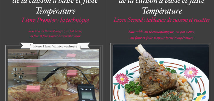 La cuisine à la plancha : conseils & recettes