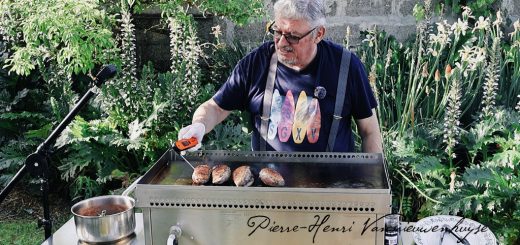 Cuisson des filets de canette